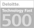 Deloitte Technology Fast 500